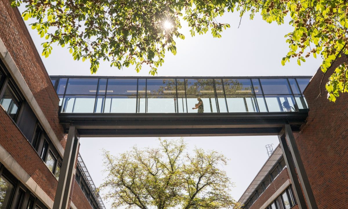 Adamstuen 013 justert